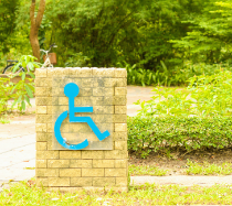 Handicap sign on a pillar outside surrounded by greenery.