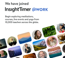 insight-timer-Newsletter