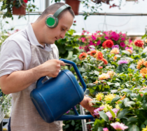 Man watering a garden bed.