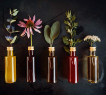 Five wildflowers each in their own colored glass vase.